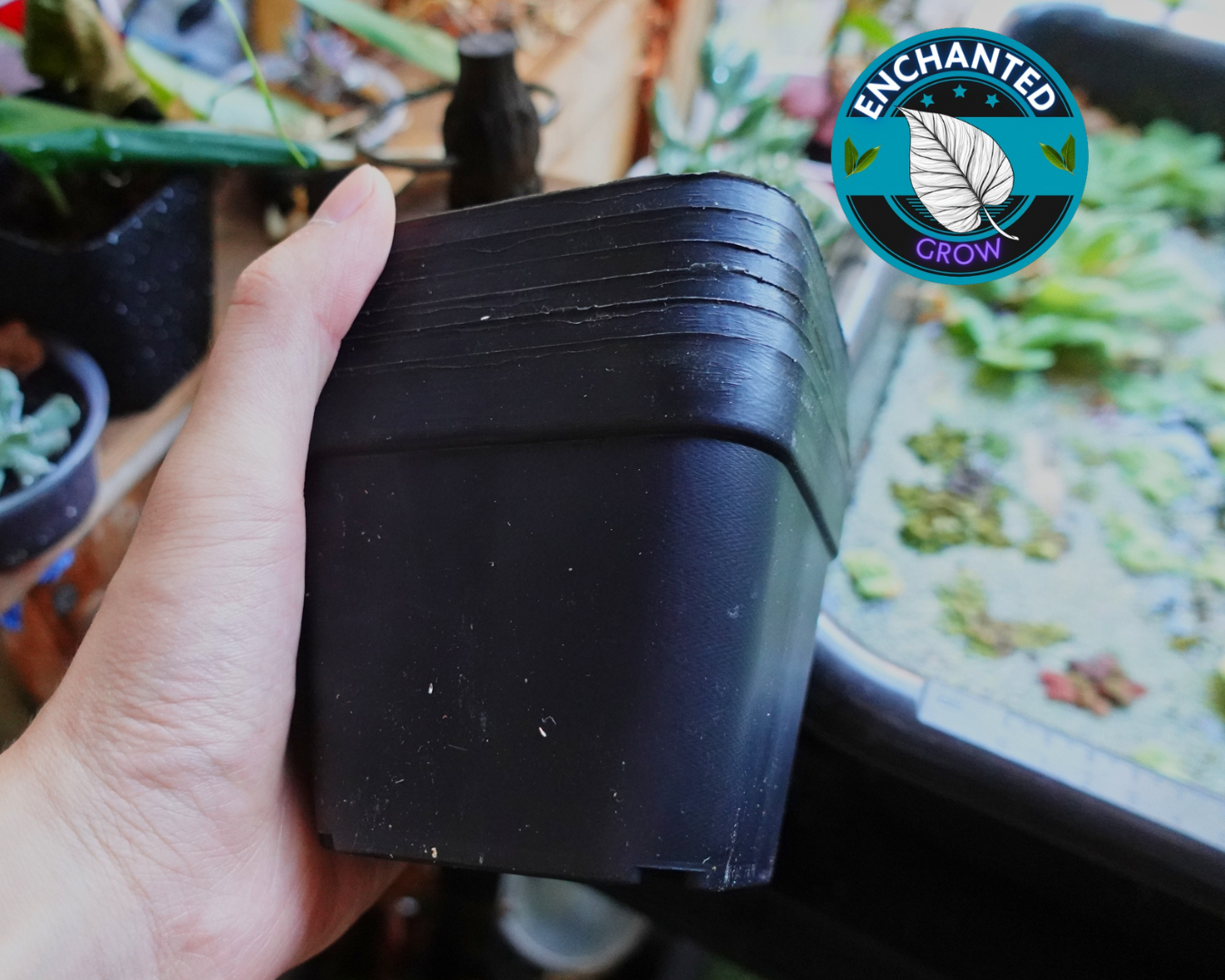 plant copies plastic plant (5 Pack) 4 Inch Square Black Plastic Plant Pot for Plant Nursery and seedlings