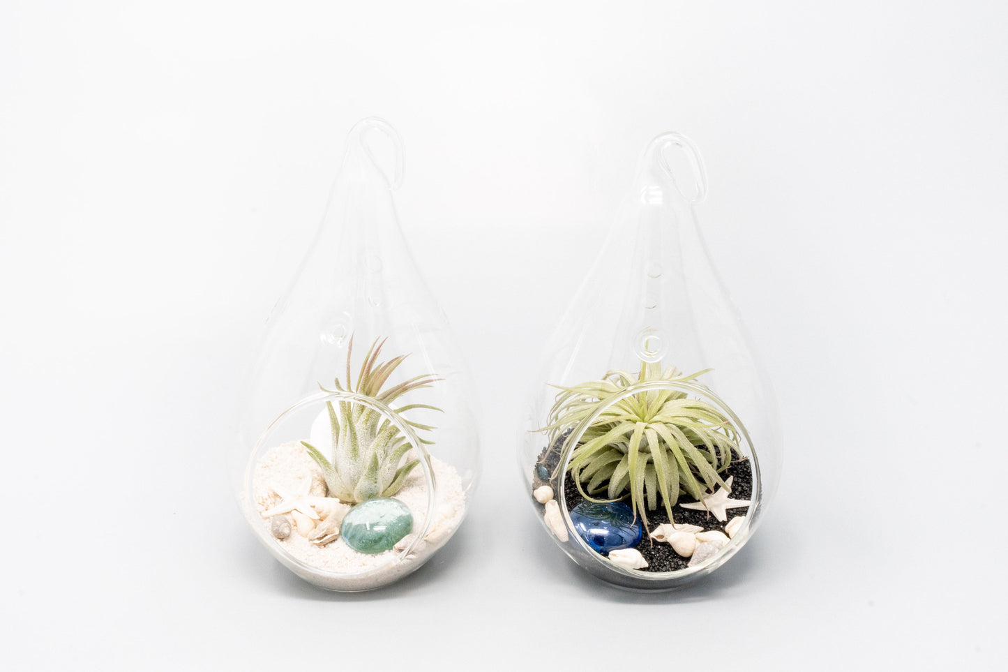 SALE - Teardrop Glass Terrariums - Set of 6 or 12