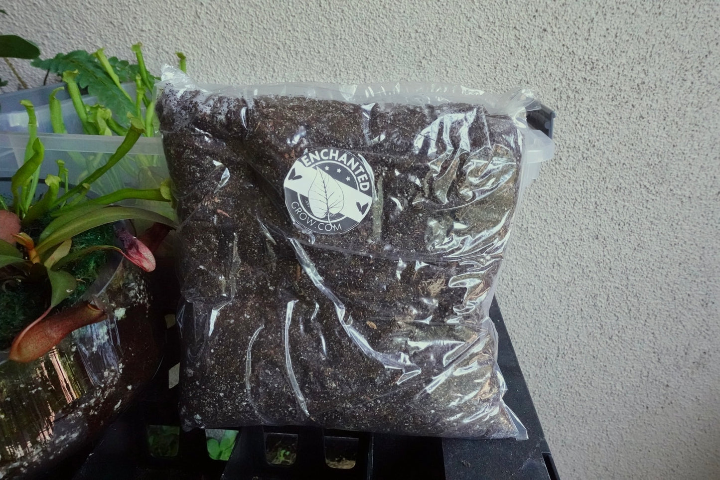 High Quality Carnivorous Plant Soil Mix Ready to Use