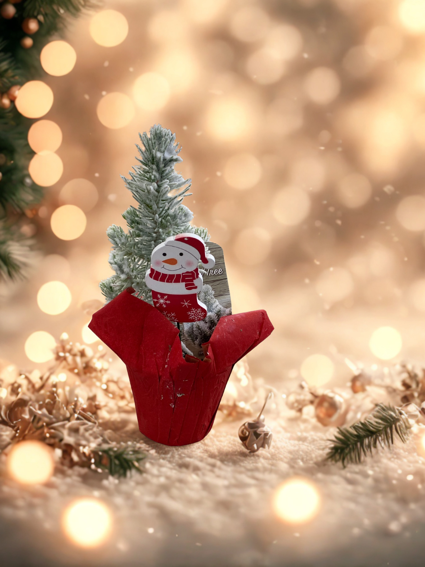 Live Christmas Tree Gift – Mini Pine Tree with Holiday Snowman Decoration