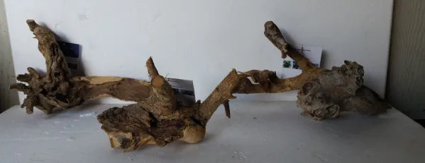 Mopani Wood for Aquascapes & Terrariums β Natural Congo Driftwood