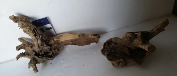 Mopani Wood for Aquascapes & Terrariums β Natural Congo Driftwood