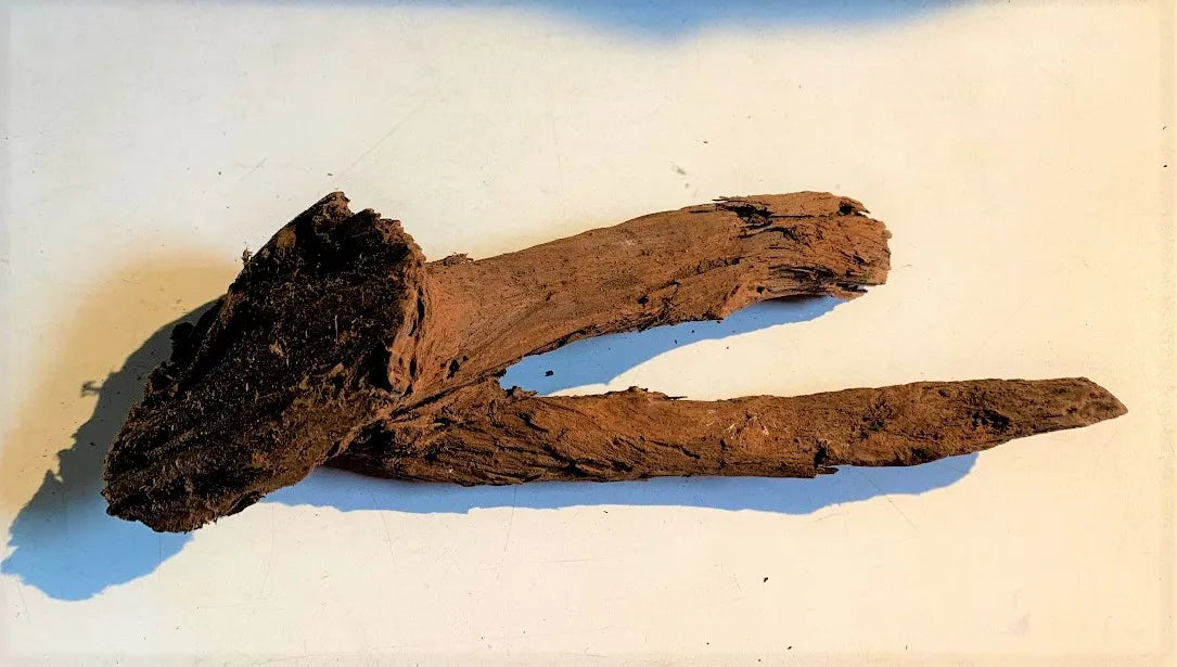 Malaysian Driftwood for Aquascapes & Terrariums β Natural Aquarium Safe Wood