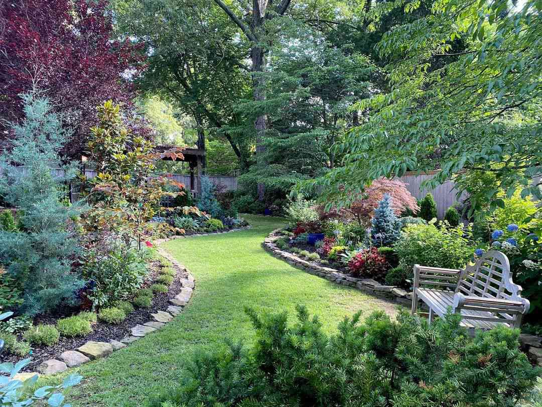 Patio/Garden Landscaping Plants