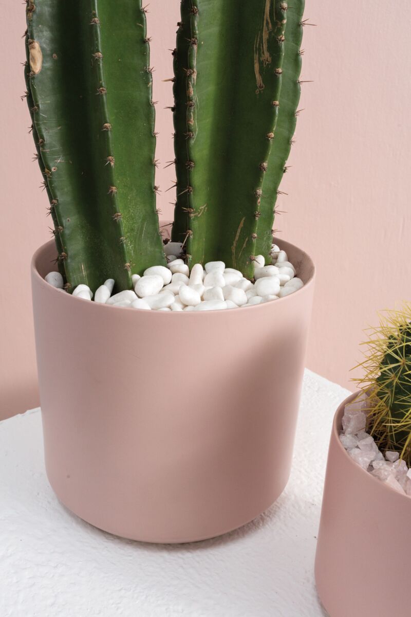 Natural Decorative Stone Pebbles – 37 oz | Terrarium, Planter & Top Dressing Stones