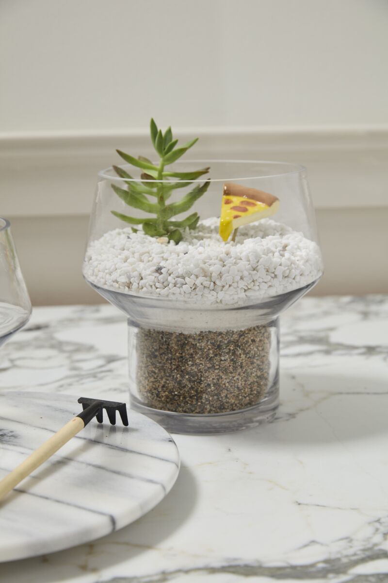 Fiction Terrarium – Fantasy-Inspired Living Ecosystem