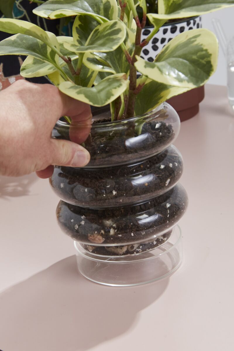 Stacked Rings Glass Pot with Saucer – Modern Decorative Planter