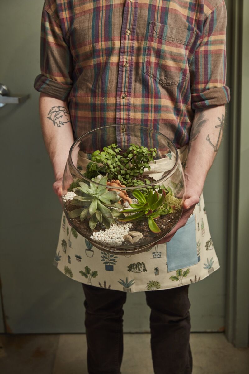 Discovery Terrarium – Interactive Living Ecosystem