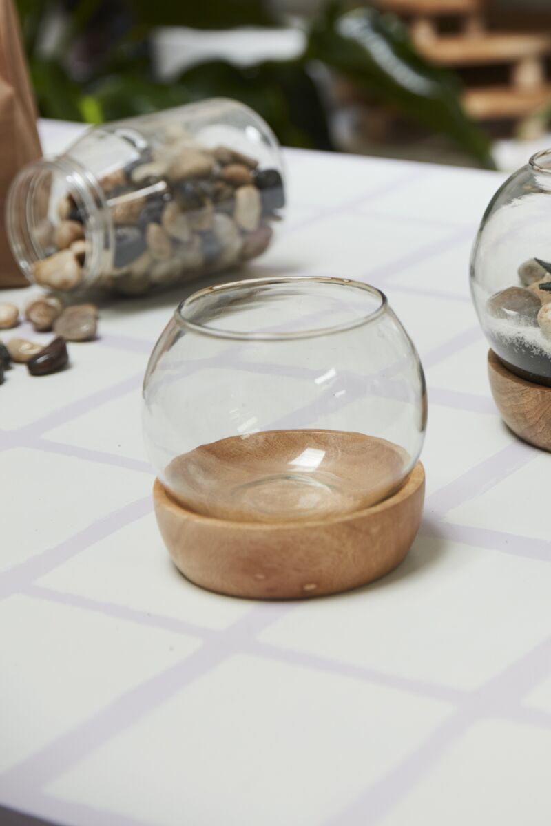 Full View Terrarium – 360° Panoramic Living Ecosystem