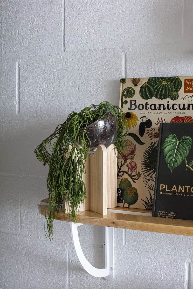 Gazer Terrarium – Immersive Living Display