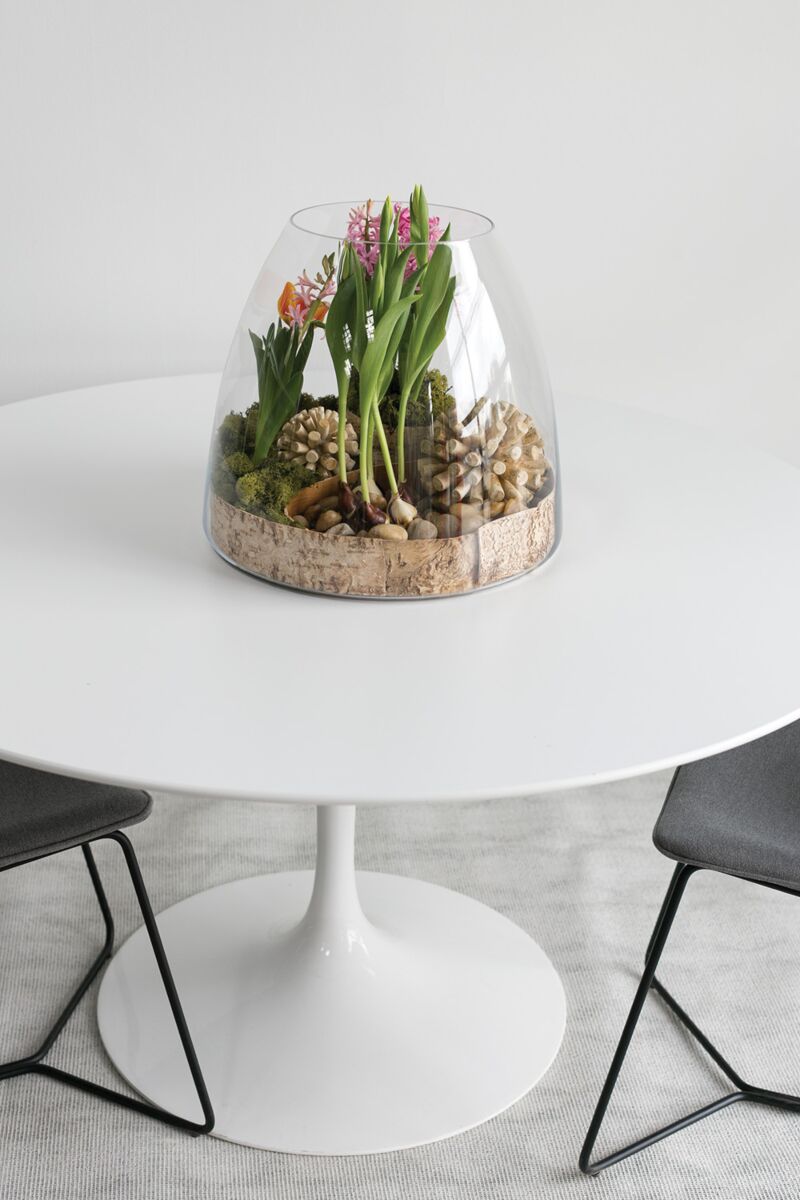 Jumbo Terrarium – Large-Scale Living Ecosystem Display