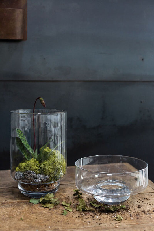 Zurich Collection – Premium Terrarium & Botanical Display Series