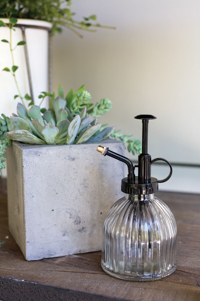 Carlisle Glass Plant Mister – Vintage Style Indoor Watering Sprayer (3" x 6")