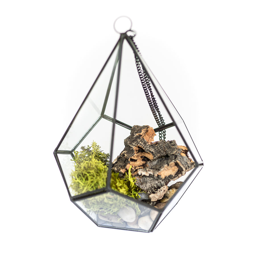 DIY Glass Diamond Terrarium