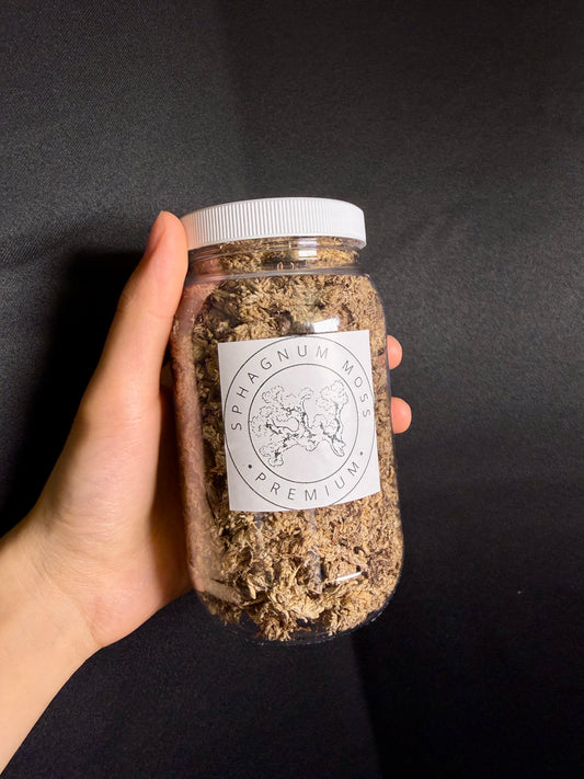 Premium Sphagnum Moss (Compressed Portion) - 16oz