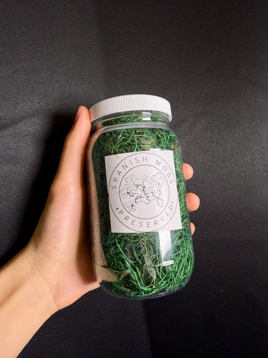 Preserved Green Spanish Moss (Compressed Portion) - 16oz