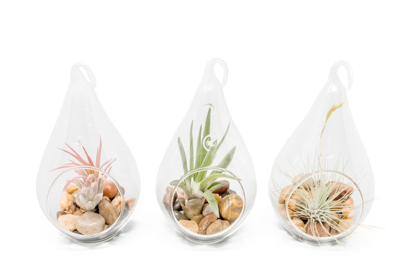 SALE - Set of 3 Airy Teardrop Terrariums with Flat Bottoms