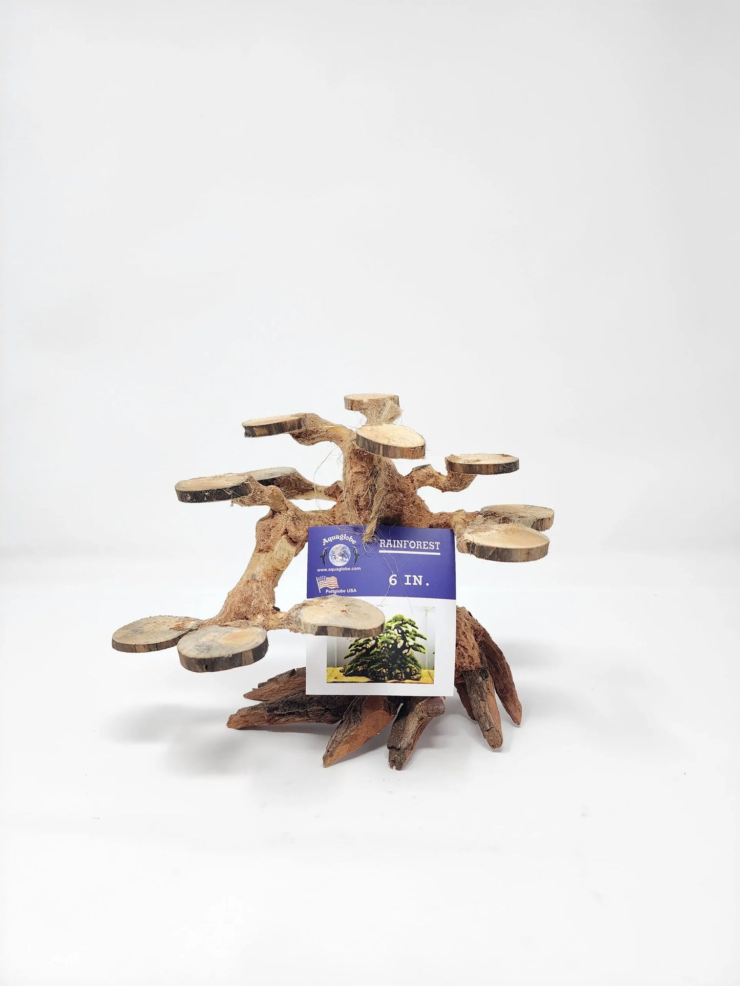 Rainforest Tree (6") – Natural Driftwood for Aquascaping