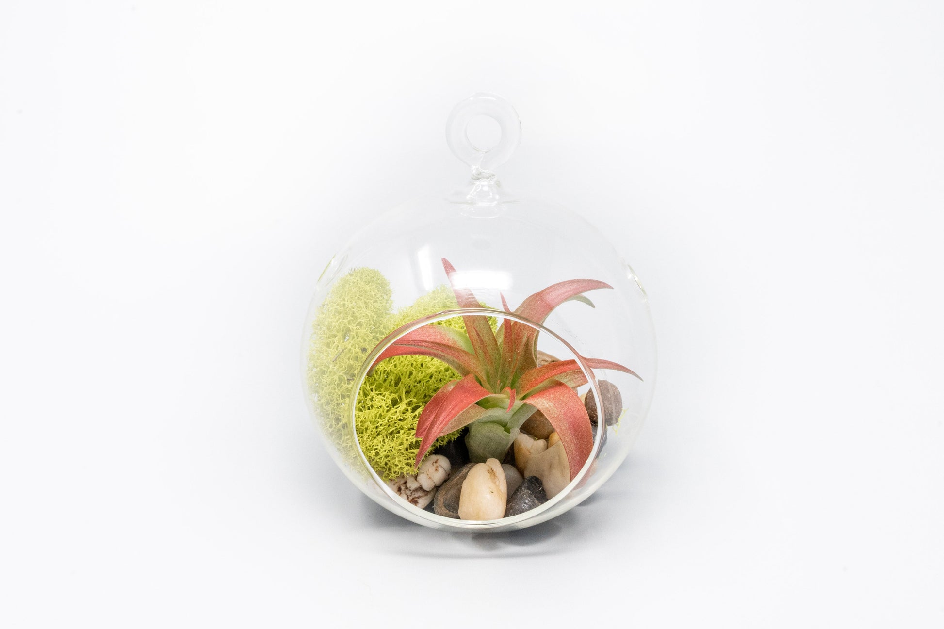 air plant and moss terrarium Set of 3 Stunning Hanging Glass Terrariums with Flat Bottoms