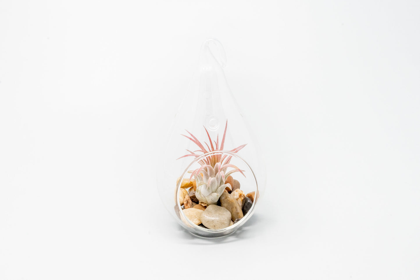 SALE - Set of 3 Airy Teardrop Terrariums with Flat Bottoms