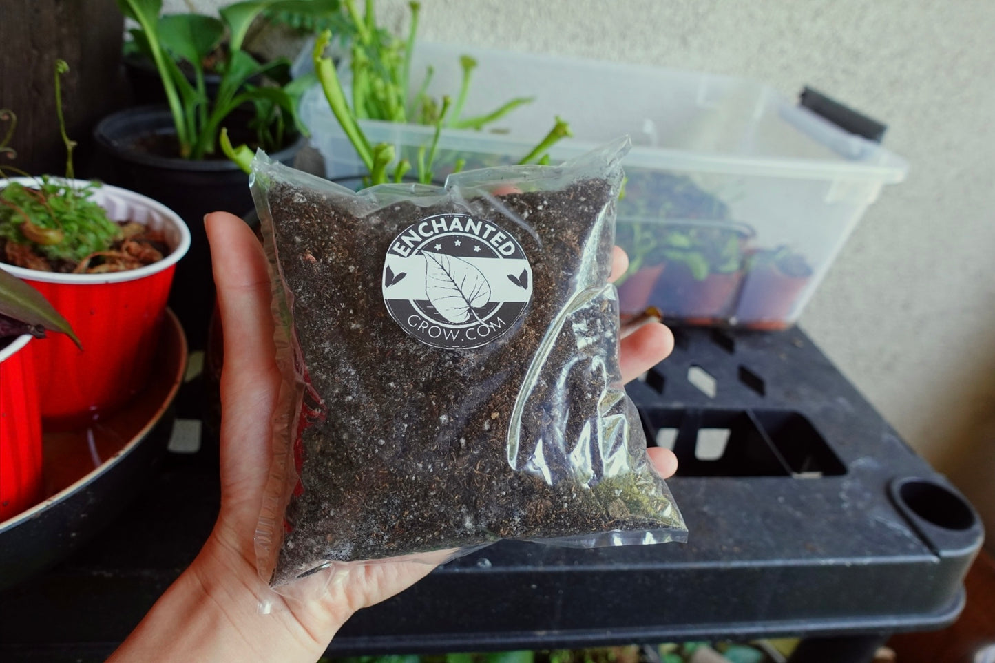 High Quality Carnivorous Plant Soil Mix Ready to Use