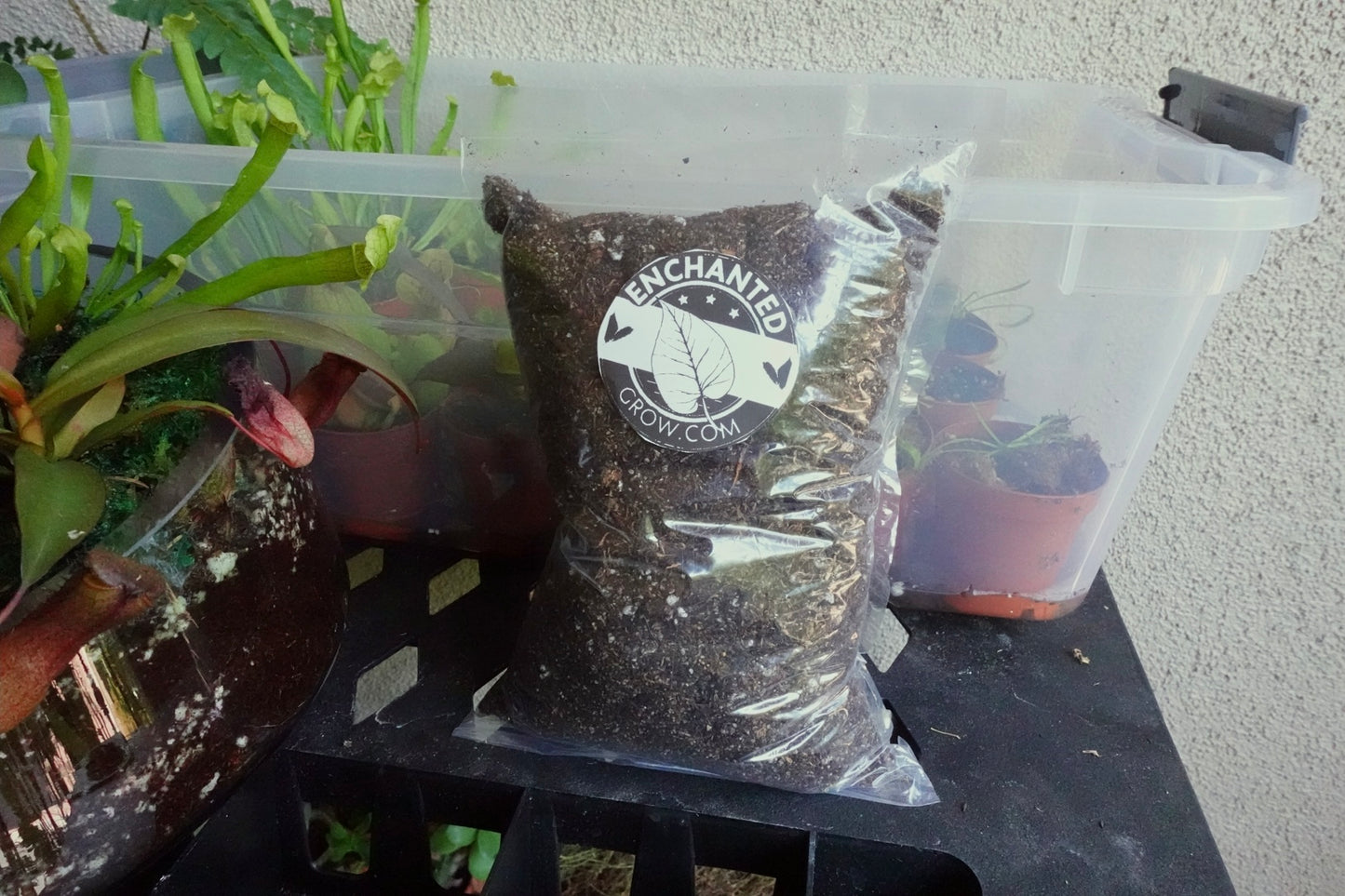 High Quality Carnivorous Plant Soil Mix Ready to Use