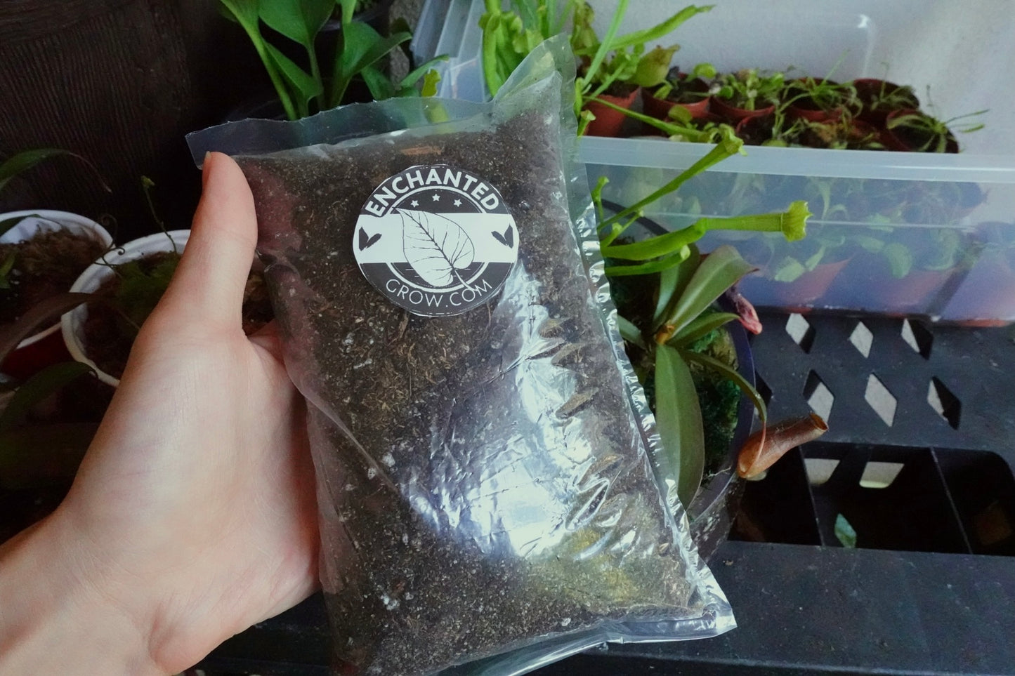 High Quality Carnivorous Plant Soil Mix Ready to Use