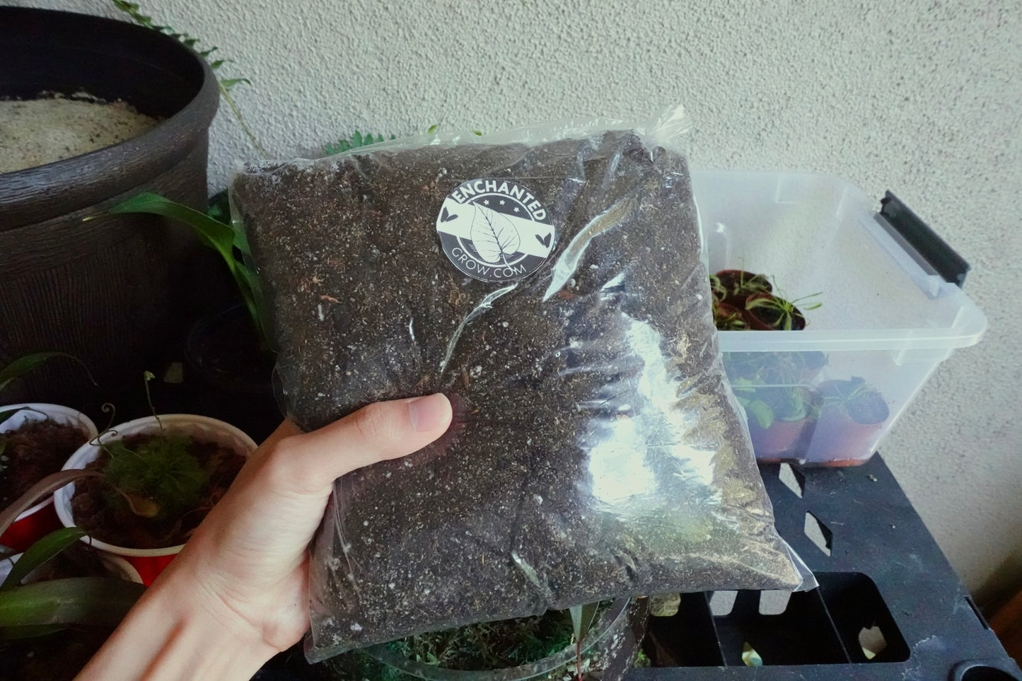 High Quality Carnivorous Plant Soil Mix Ready to Use