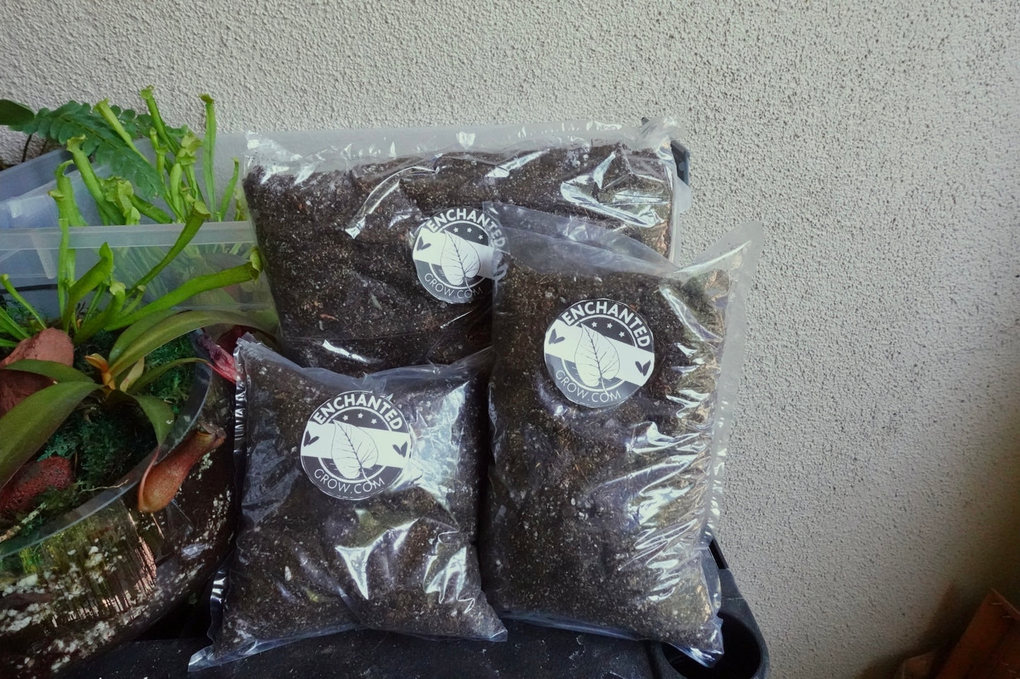 High Quality Carnivorous Plant Soil Mix Ready to Use