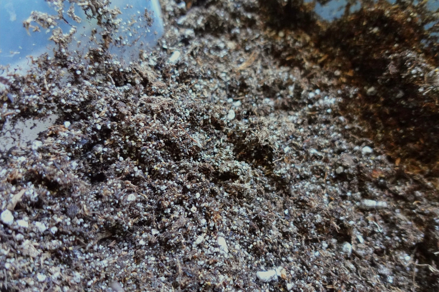 High Quality Carnivorous Plant Soil Mix Ready to Use