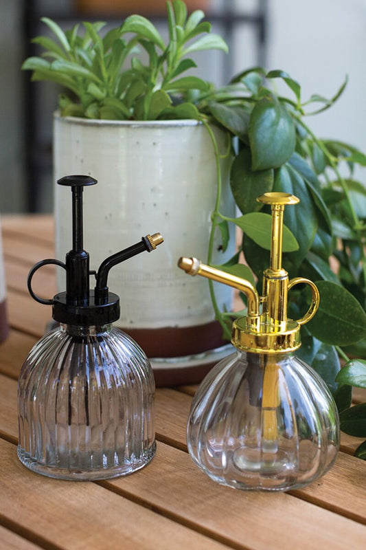 Carlisle Glass Plant Mister – Vintage Style Indoor Watering Sprayer (3" x 6")