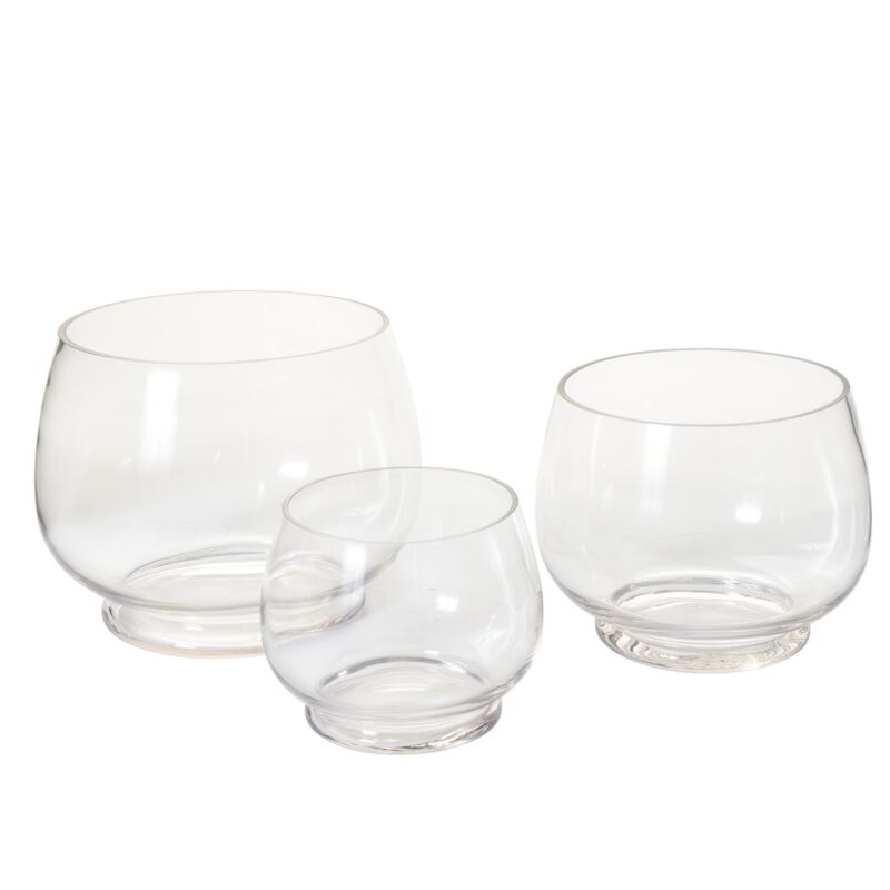 Discovery Terrarium – Interactive Living Ecosystem