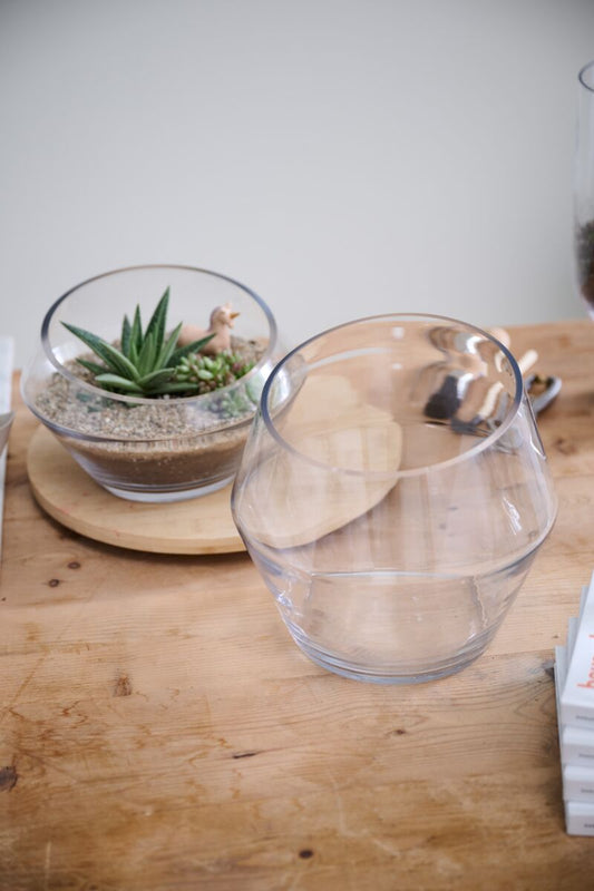 Dynamic Terrarium – Modern Self-Sustaining Ecosystem