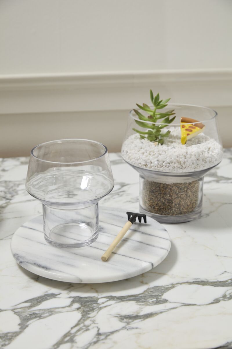 Fiction Terrarium – Fantasy-Inspired Living Ecosystem