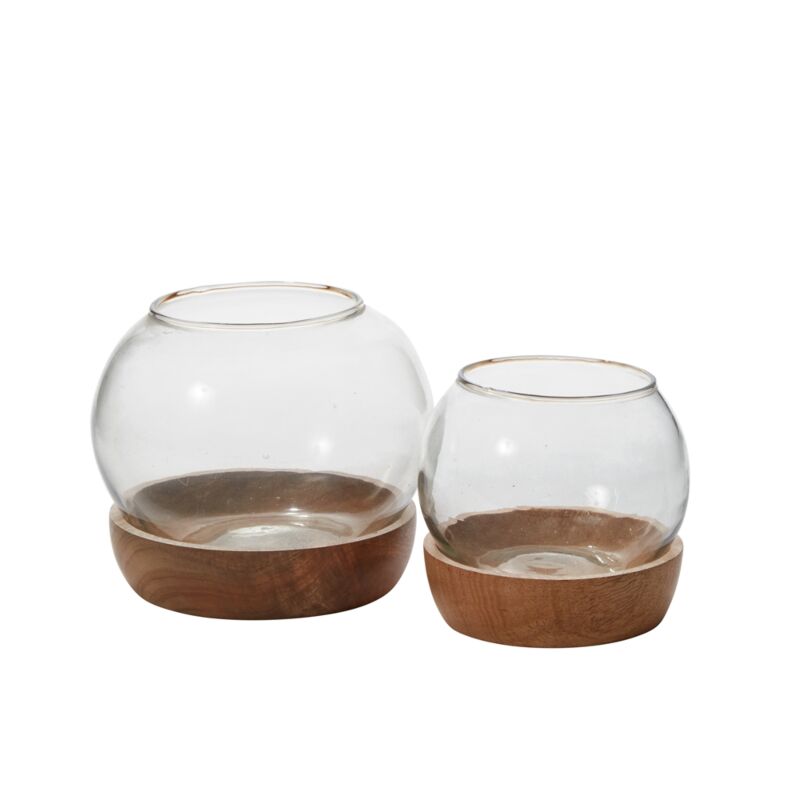 Full View Terrarium – 360° Panoramic Living Ecosystem