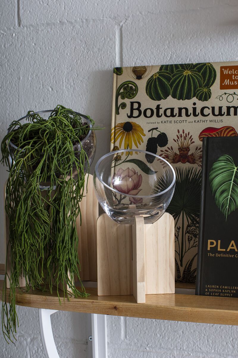 Gazer Terrarium – Immersive Living Display