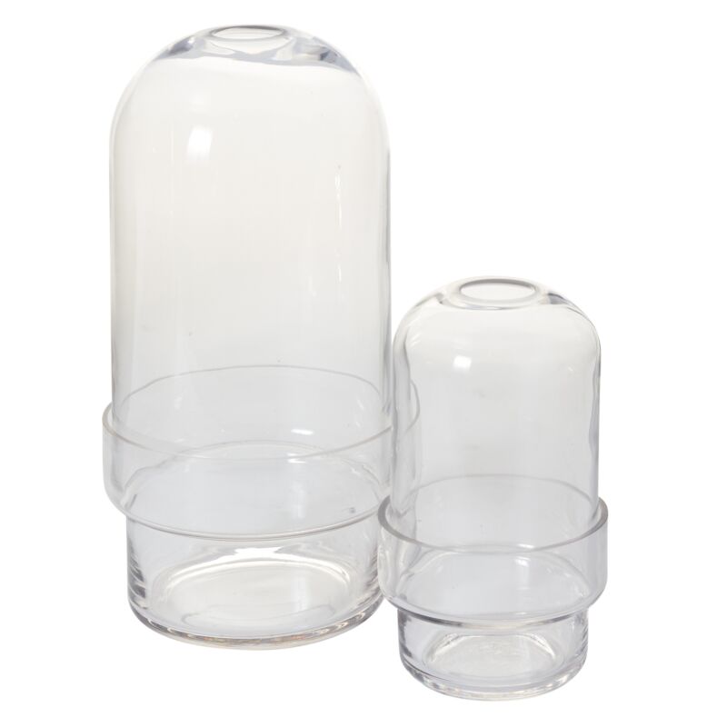 Griffith Terrarium – Elegant Botanical Display