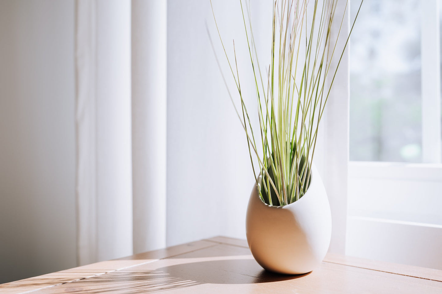 Small Ivory Ceramic Hanging Planter With Flat Bottom