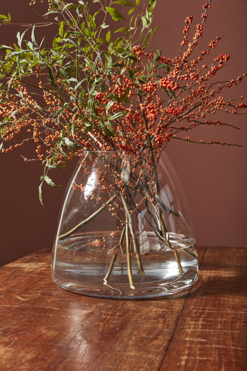 Jumbo Terrarium – Large-Scale Living Ecosystem Display