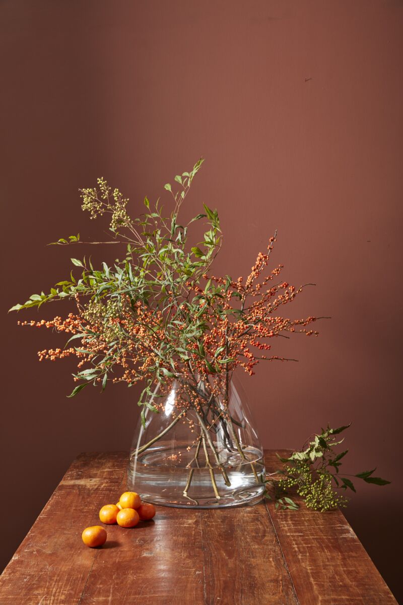 Jumbo Terrarium – Large-Scale Living Ecosystem Display