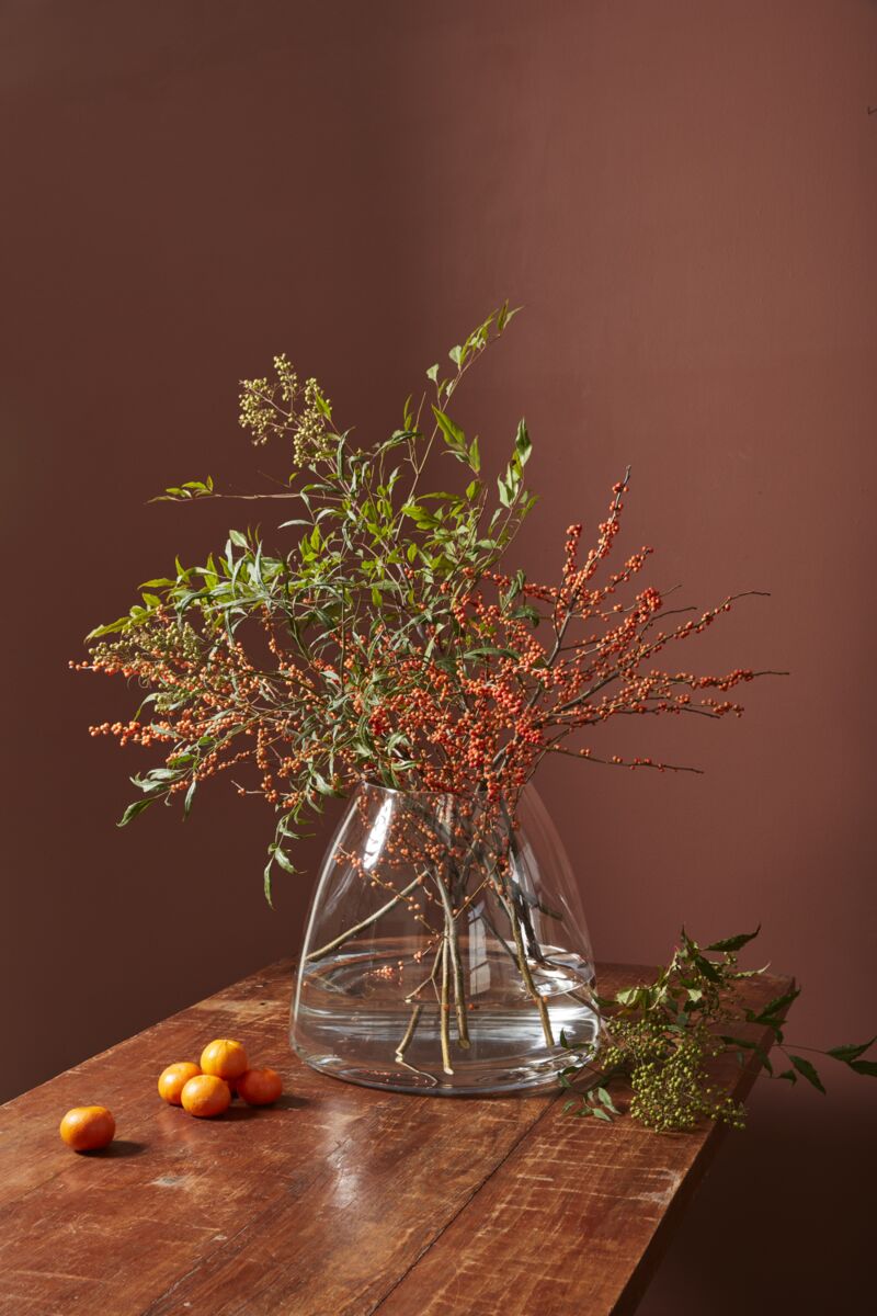 Jumbo Terrarium – Large-Scale Living Ecosystem Display
