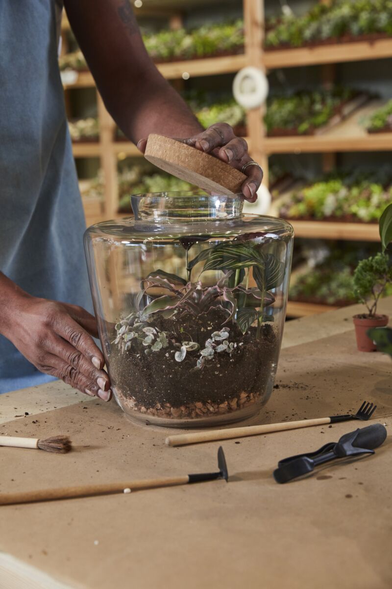Message Terrarium – Personalized Living Display