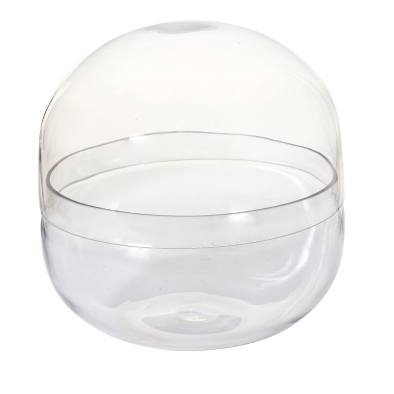 Observatory Terrarium – Panoramic Glass Ecosystem