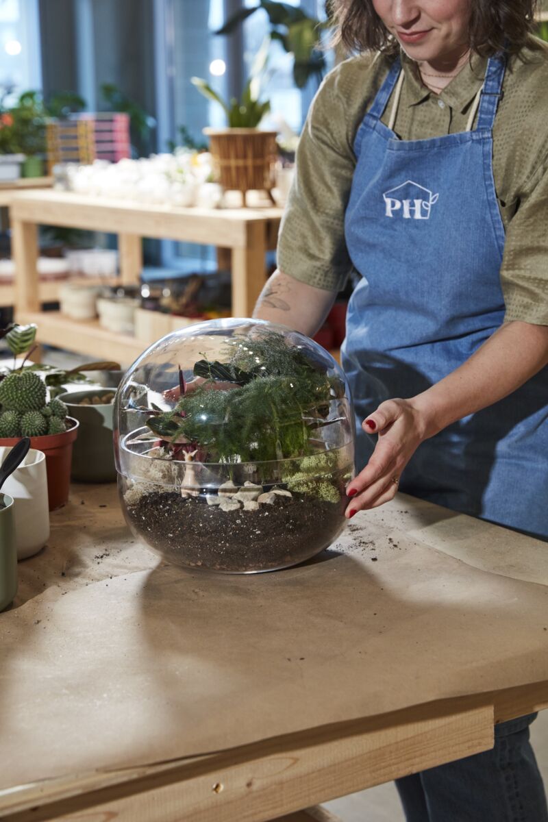 Observatory Terrarium – Panoramic Glass Ecosystem