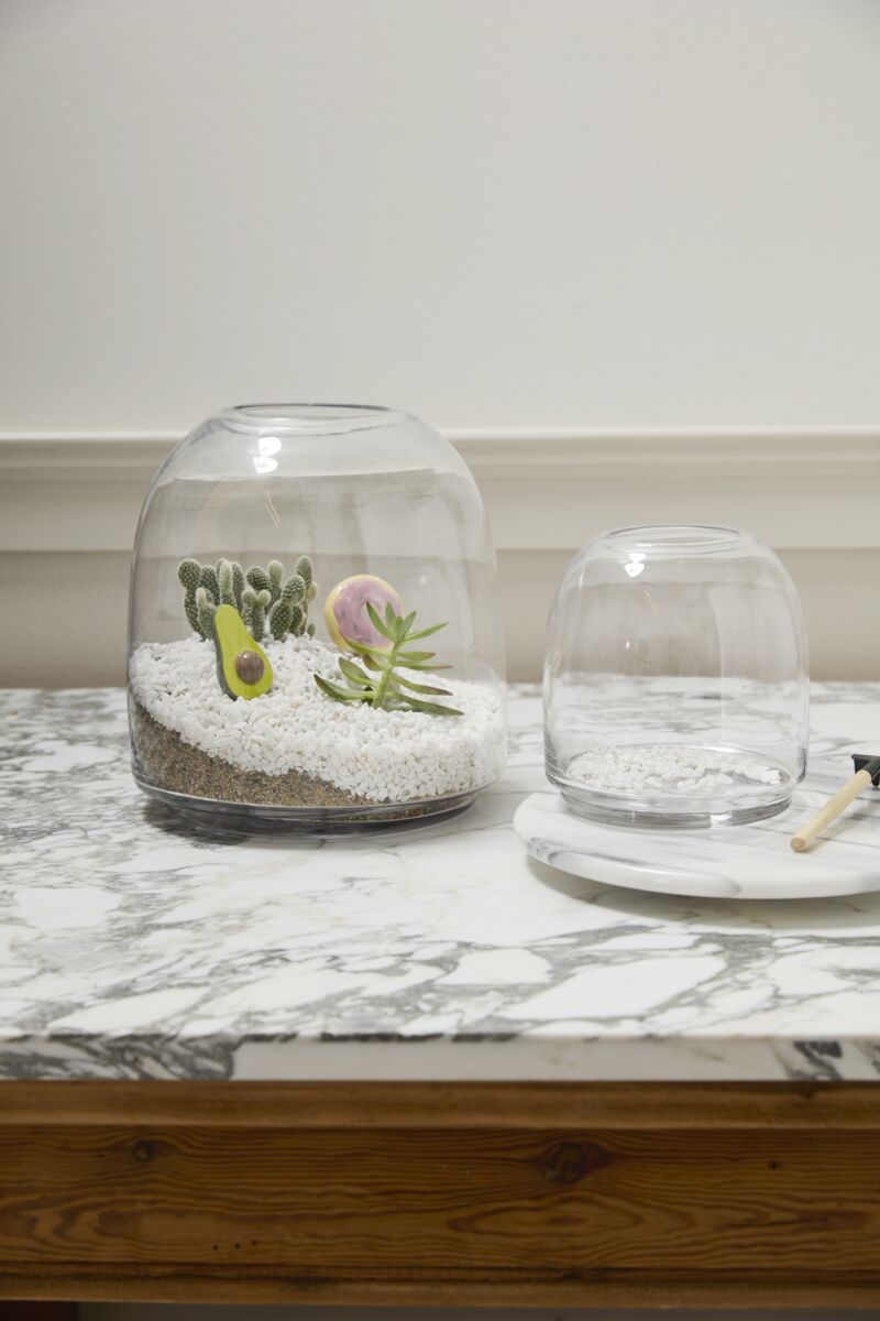 Oliver Terrarium – Handcrafted Mini Ecosystem Display