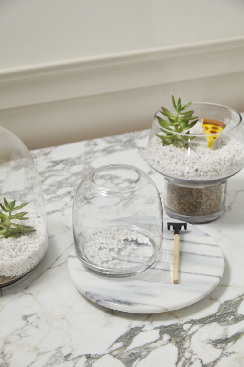 Oliver Terrarium – Handcrafted Mini Ecosystem Display