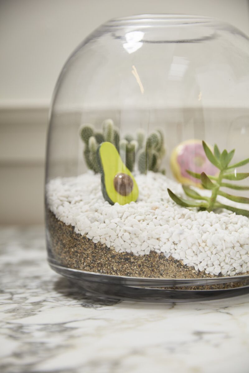 Oliver Terrarium – Handcrafted Mini Ecosystem Display