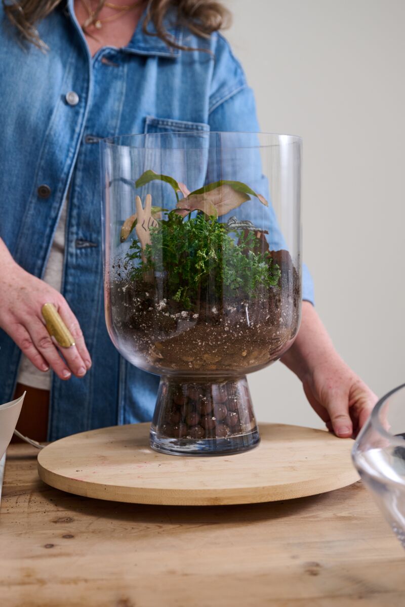 Reservoir Terrarium – Self-Sustaining Glass Ecosystem