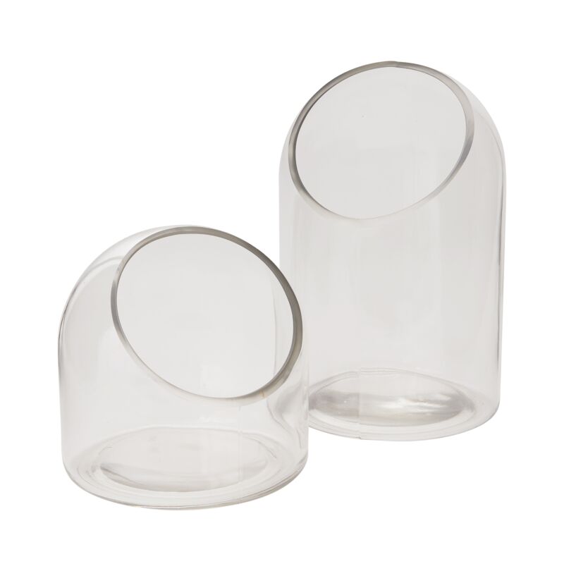 Warner Terrarium – Contemporary Living Ecosystem