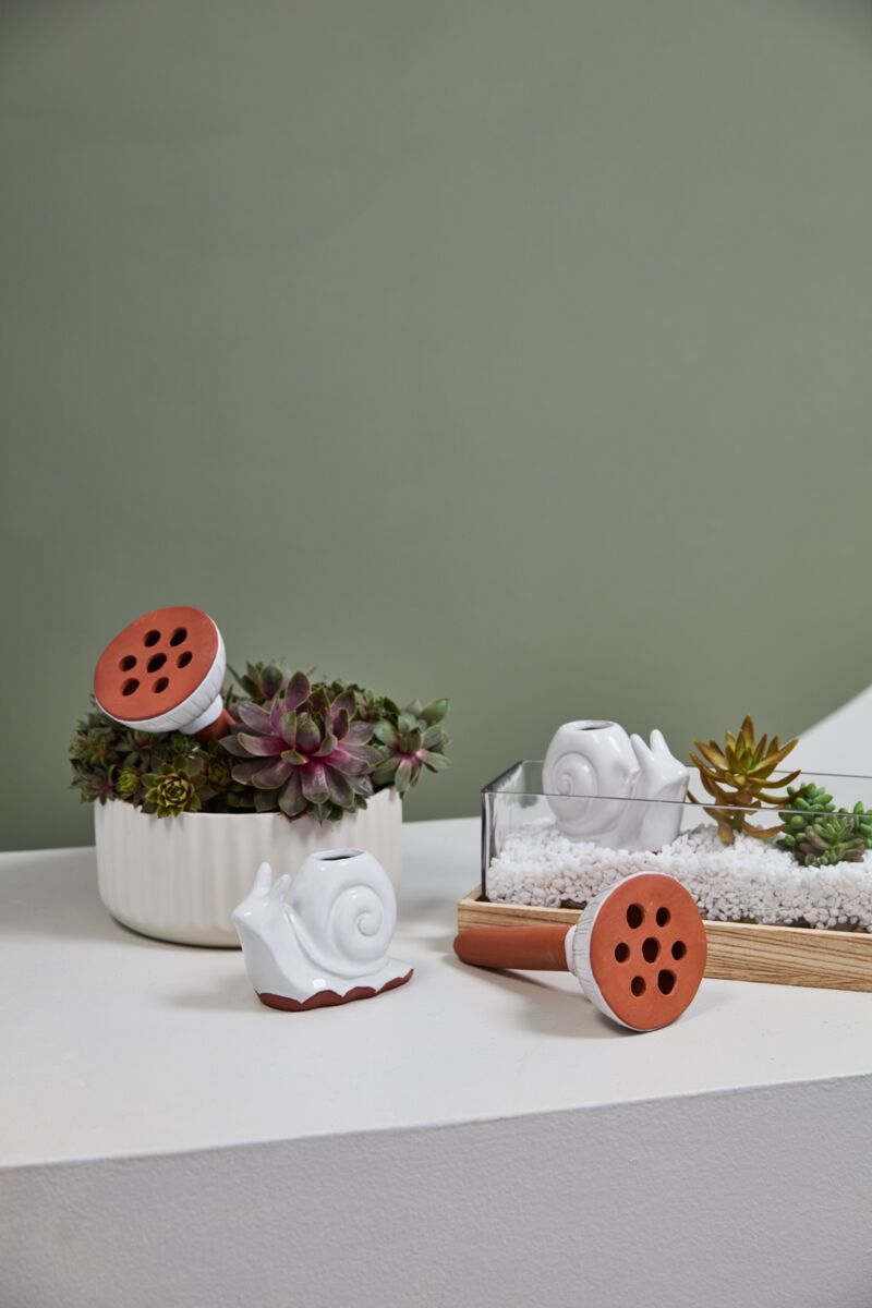 Whimsy Snail Watering Can – Decorative Plant Watering Vessel (3.5" x 7")